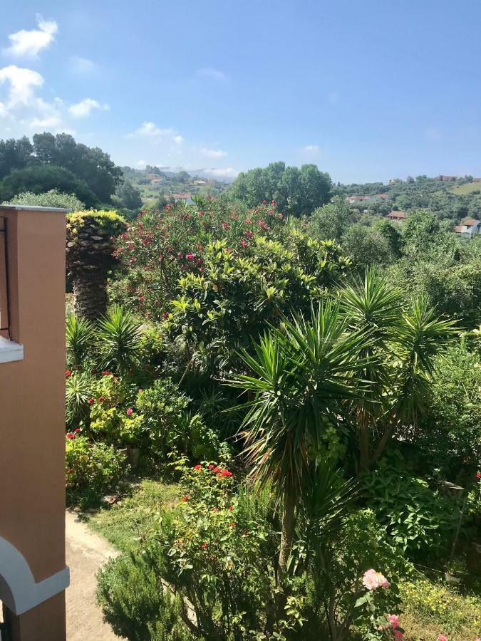 איוס סטפנוס Floros Apartments מראה חיצוני תמונה